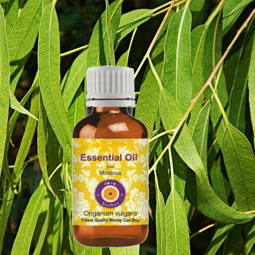 100% Pure Organic Lemon Eucalyptus Essential Oil Olejek eteryczny z cytryny