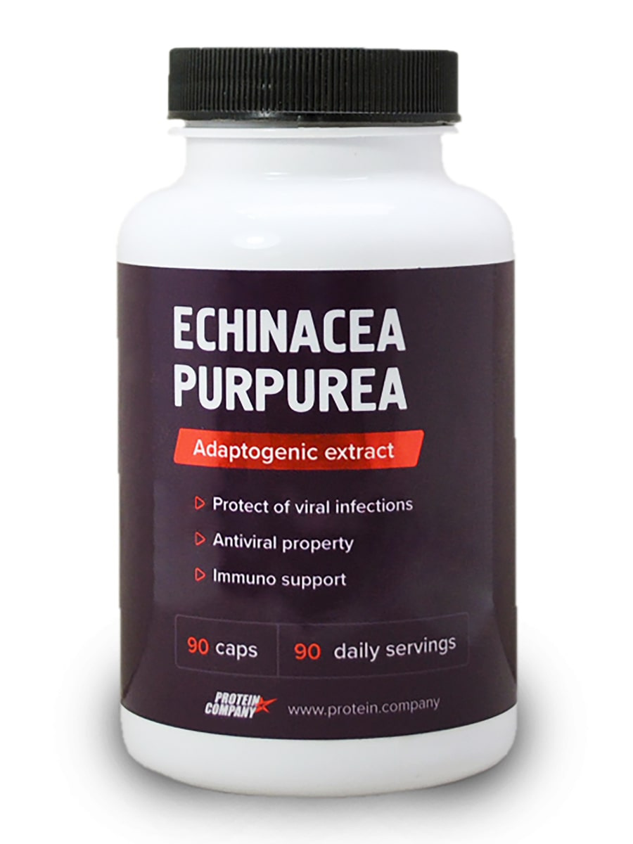 Echinacea purpurea - 90 capsules
