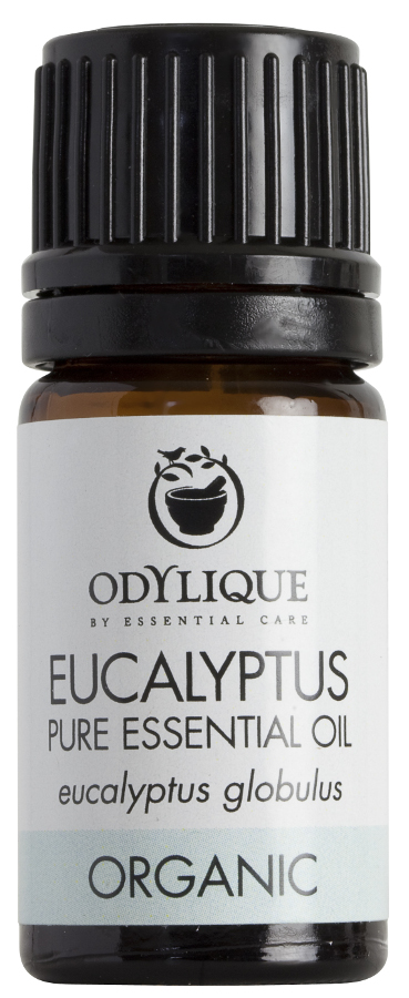 Odylique Organiczny olejek eteryczny eukaliptusowy - 5ml