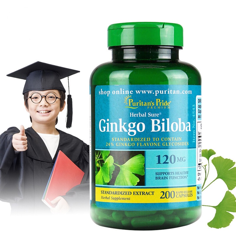 Ginkgo Biloba 120 mg 200 cápsulas
