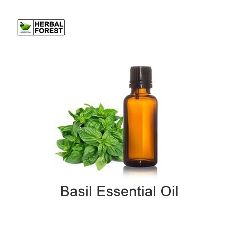 Pure Natural Basil Essential Oil Tighten Skin Improve Oily Skin Expand Fragrance DIY Skin Care Surowce