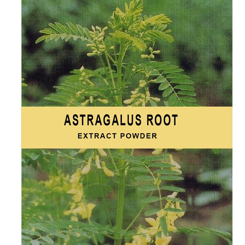 Rein - Bio Astragalus-Wurzel 20:1 Extrakt Pulver