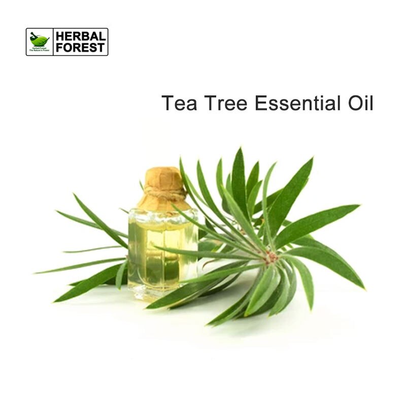 Huile essentielle d'arbre à thé pure, naturelle, unique, adaptée aux peaux grasses et à l'élimination de l'acné Huile essentielle pour une peau propre et raffermie Aromatique