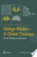 Ginkgo Biloba : un trésor mondial