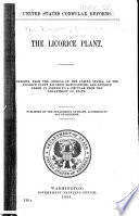 The Licorice Plant