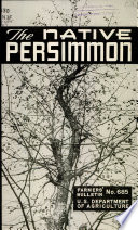 The Native Persimmon