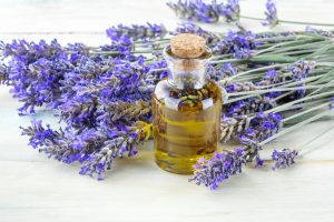 Lavendel-essentielles Öl